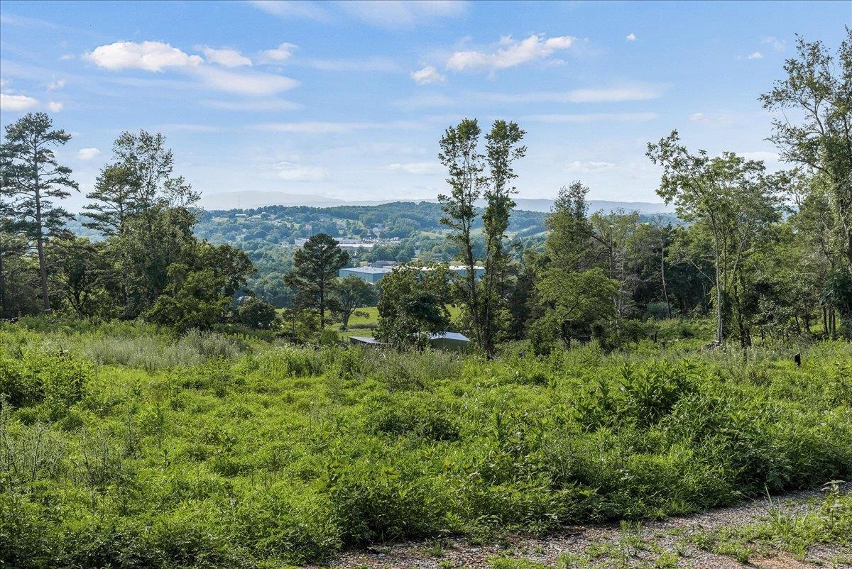 0 Rodeo Drive Harrisonburg, VA 22802 - Photo 8 of 15 a view of a city with lush green forest