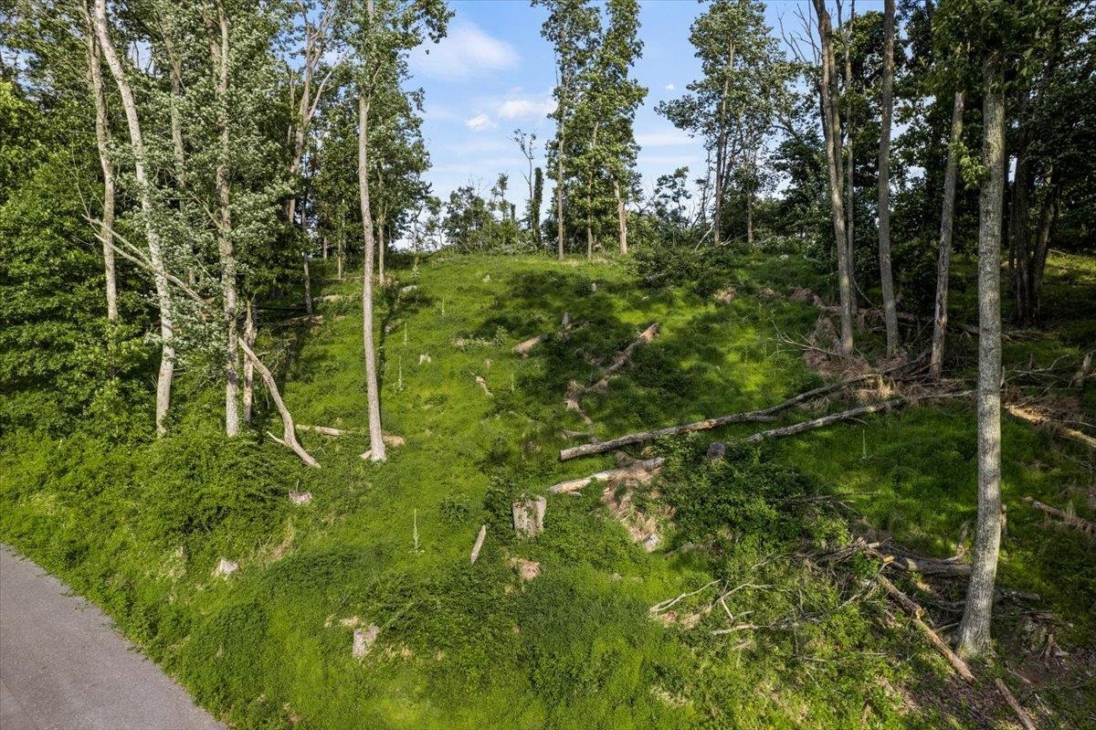 0 Rodeo Drive Harrisonburg, VA 22802 - Photo 9 of 15 a view of a garden