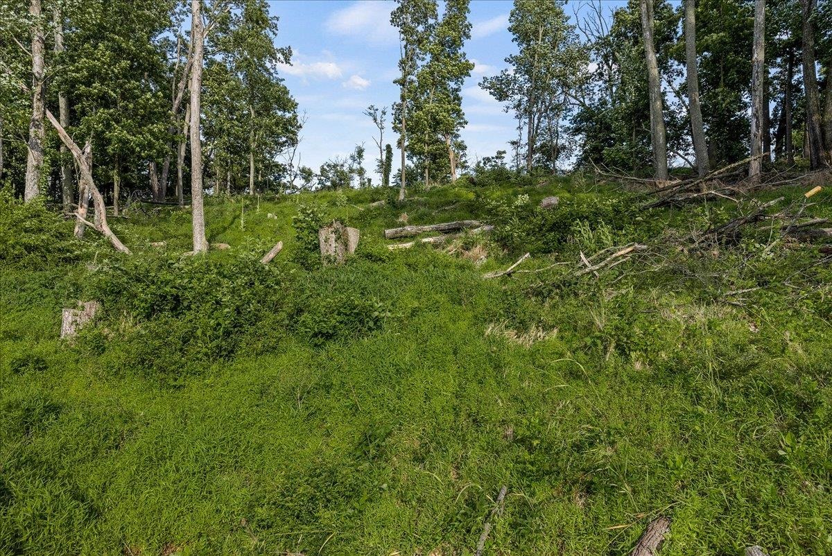 0 Rodeo Drive Harrisonburg, VA 22802 - Photo 10 of 15 a big yard with lots of green space and trees