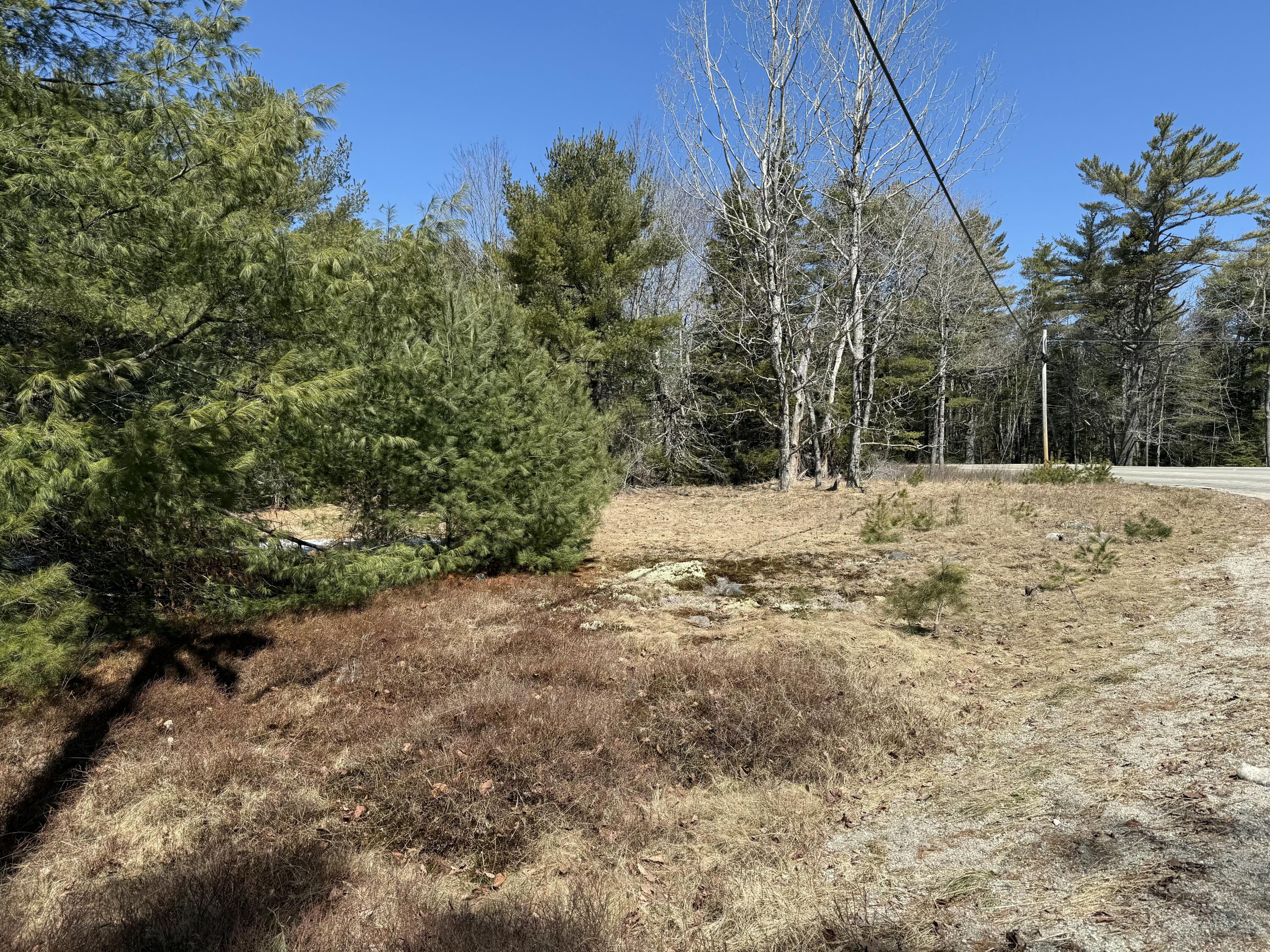 0 Rt 176 East Blue Hill Road Blue Hill, ME 04614 - Photo 10 of 12 tempImage0dVbuz