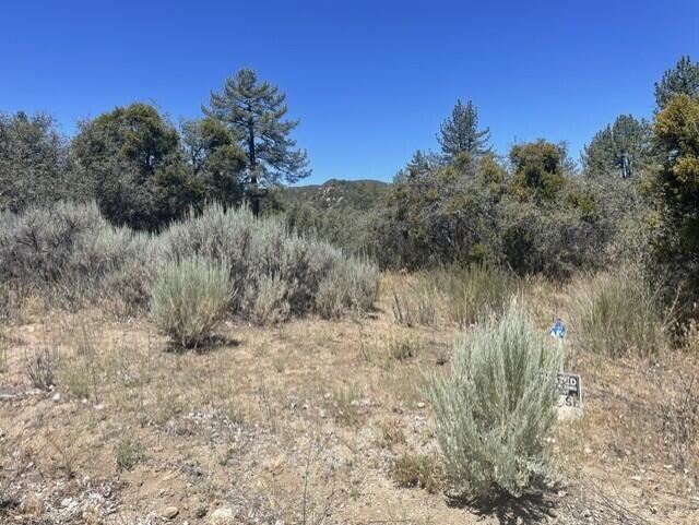 0 Devils Ladder Road Mountain Center, CA 92561 - Photo 3 of 10 Rothe lot.2