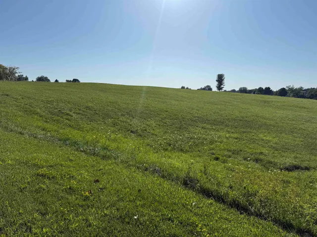 a view of a large body of water with a large tree