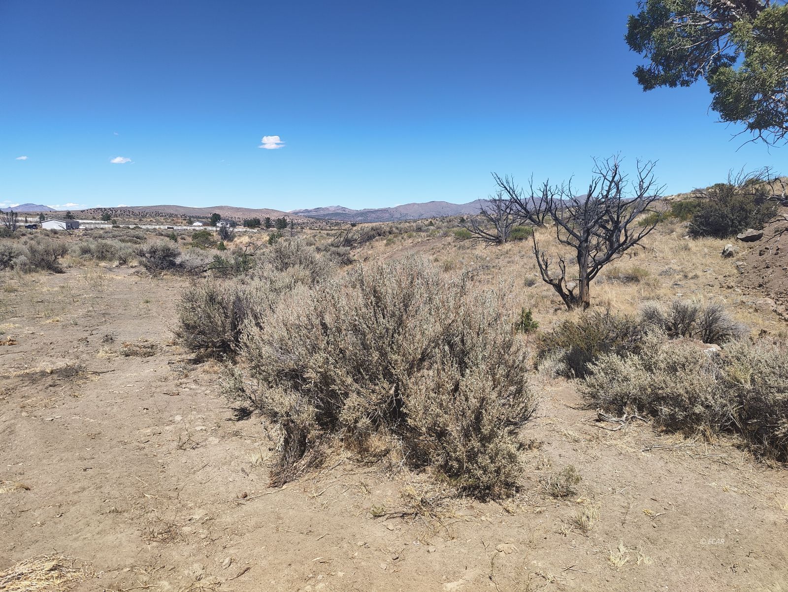 Bedell Road Reno, NV 89508 - Photo 12 of 15