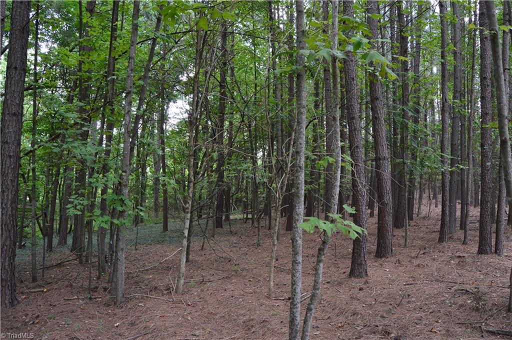 2122 Cherokee Camp Road Reidsville, NC 27320 - Photo 17 of 21 Gallery Image 17
