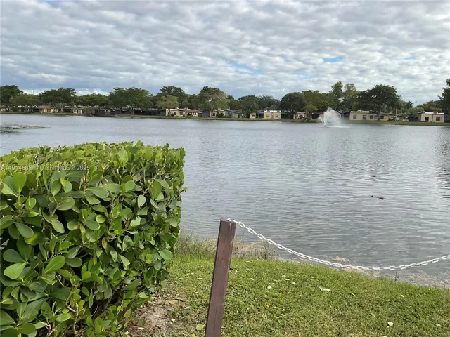a view of a park with large trees