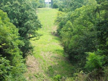 0 Liberty Ridge Road Falmouth, KY 41040 - Photo 4 of 8 Gallery Image 4