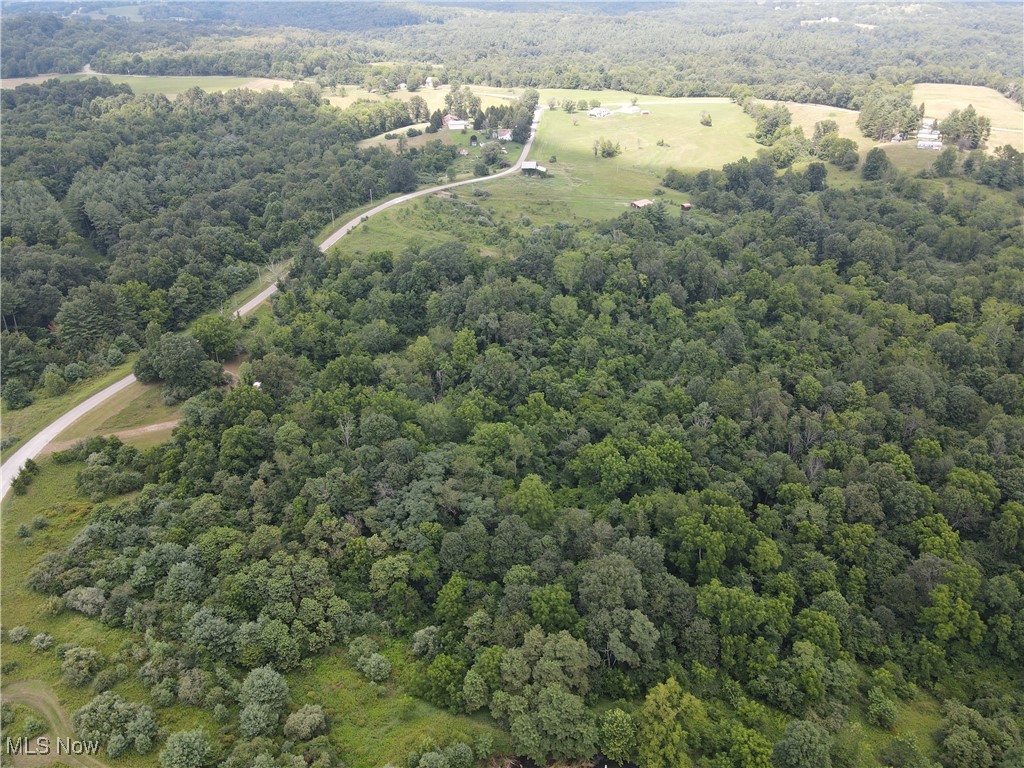 55202 Red Lane Road Cumberland, OH 43732 - Photo 9 of 11 Drone / aerial view of a forest