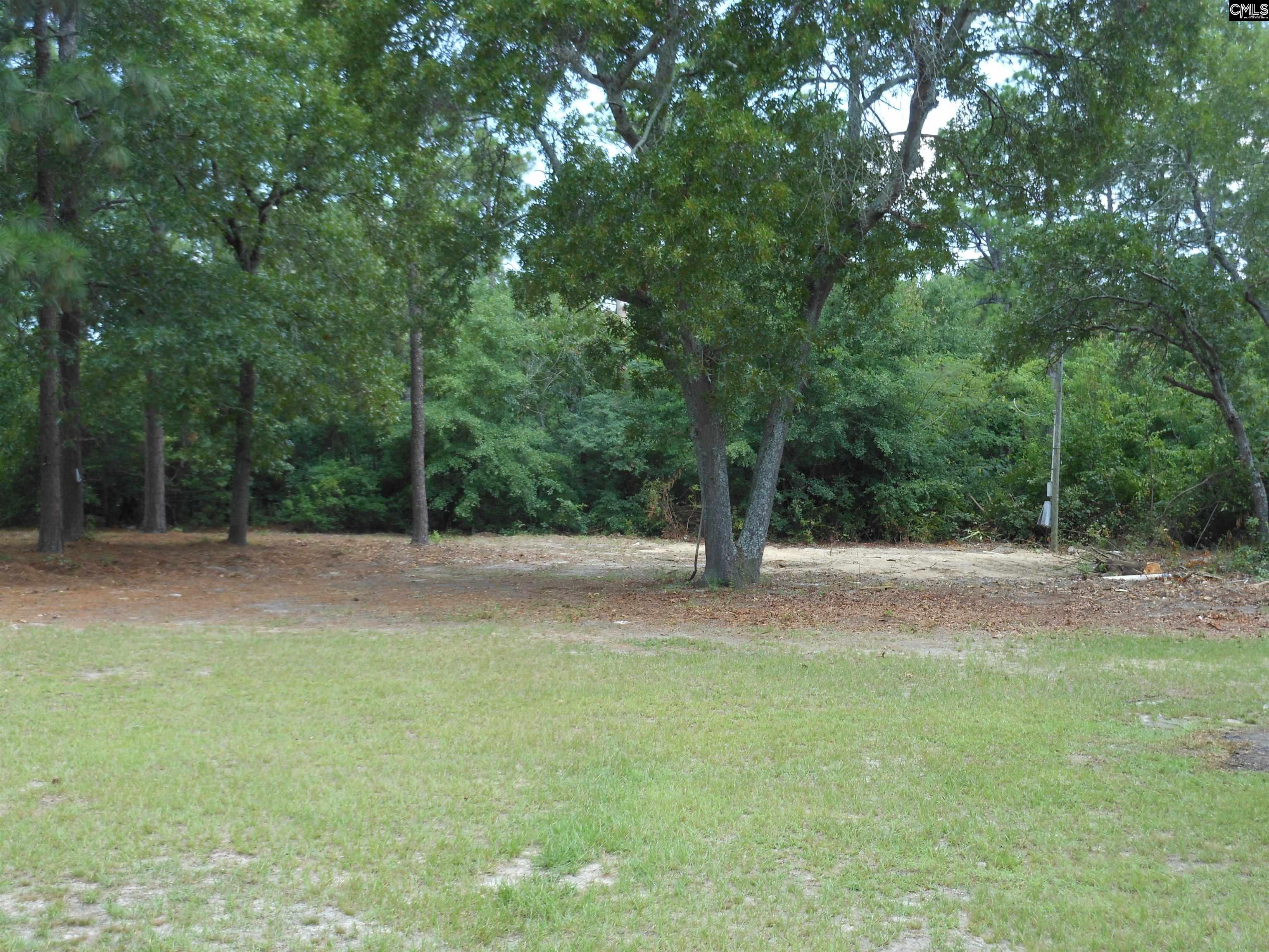 649 Laurel Road Lexington, SC 29073 - Photo 3 of 13