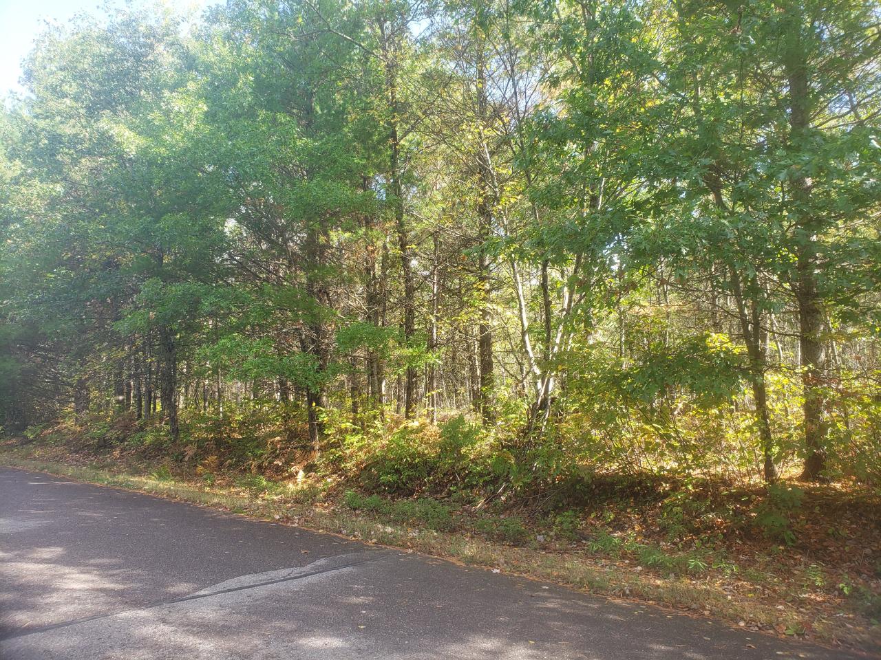 On On Pine Square Road, Unit 11 9 ACRES Tomahawk, WI 54487 - Photo 19 of 20 Gallery Image 19