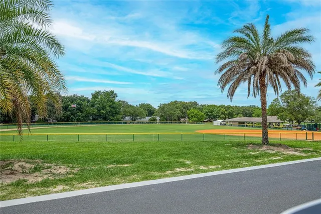 a view of a park with a big yard and palm trees