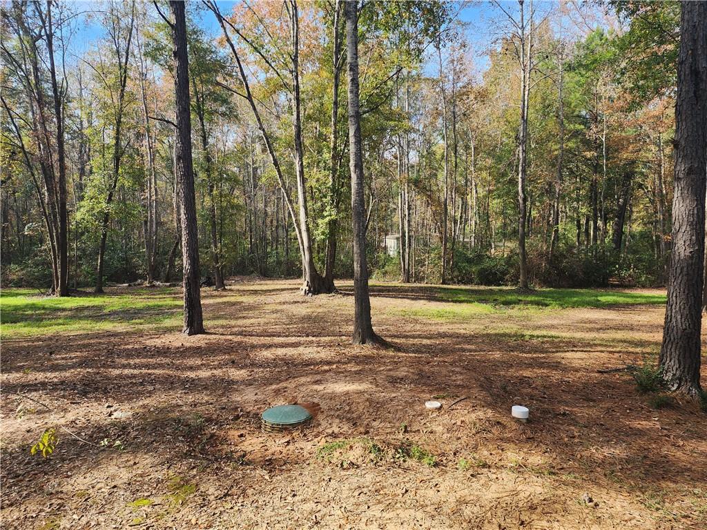 153 Allen-Beulah Road Robeline, LA 71469 - Photo 8 of 27 Gallery Image 8