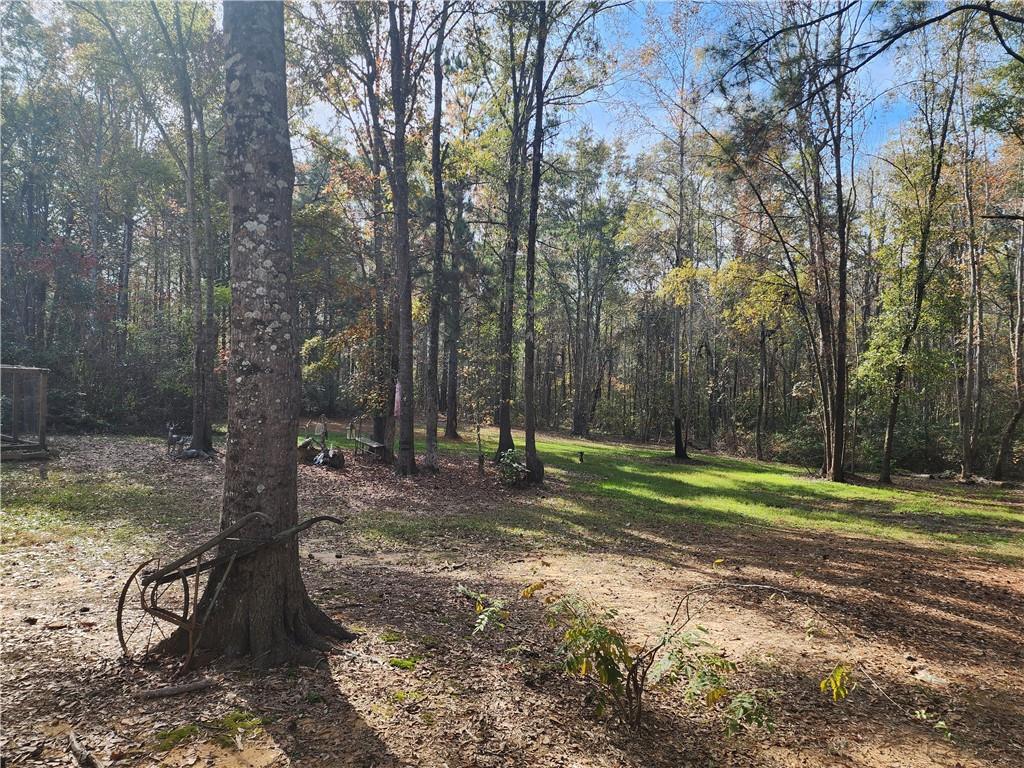153 Allen-Beulah Road Robeline, LA 71469 - Photo 9 of 27 Gallery Image 9