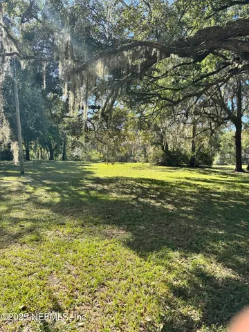 a view of a yard with large trees