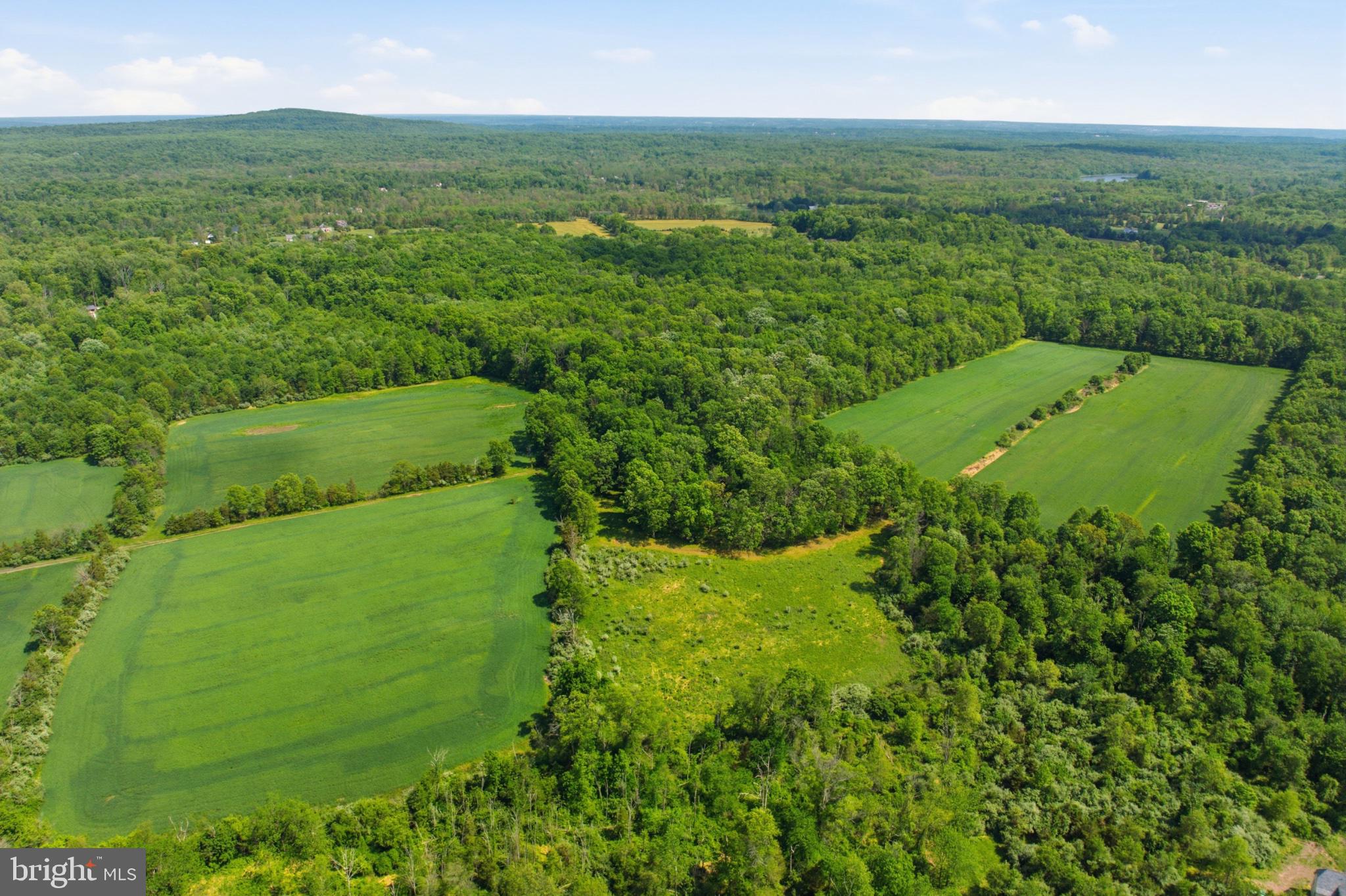 1540 Roundhouse Road Quakertown, PA 18951 - Photo 9 of 20 Lush green fields meet serene woodlands.