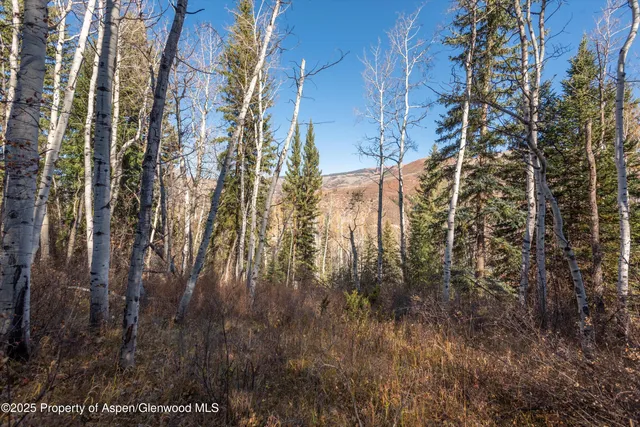 a backyard of a building