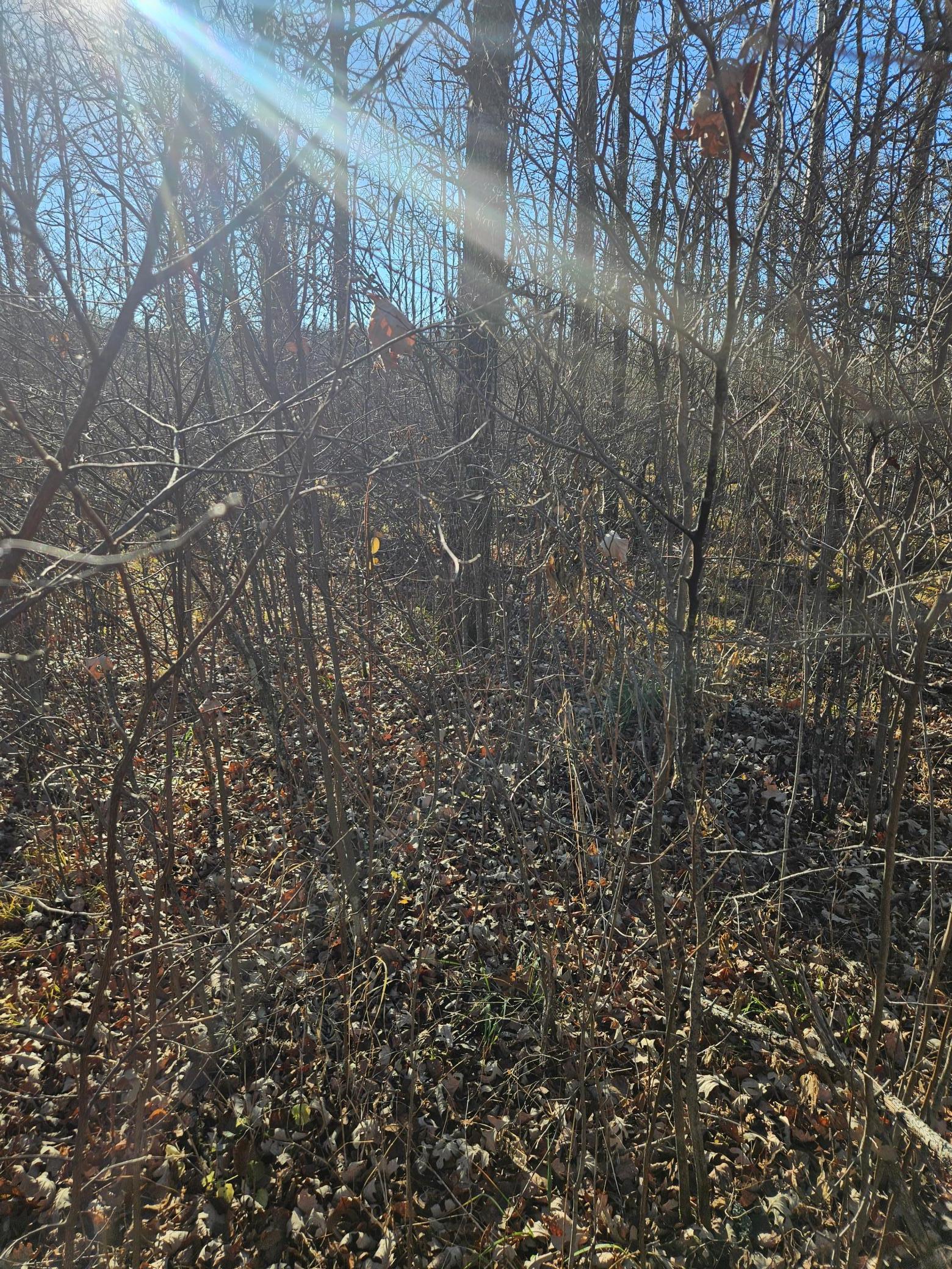 T252 T252 Waubun, MN 56589 - Photo 3 of 4