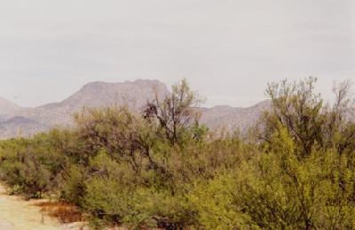 4600 West Tangerine Road, Unit B Marana, AZ 85658 - Photo 3 of 4
