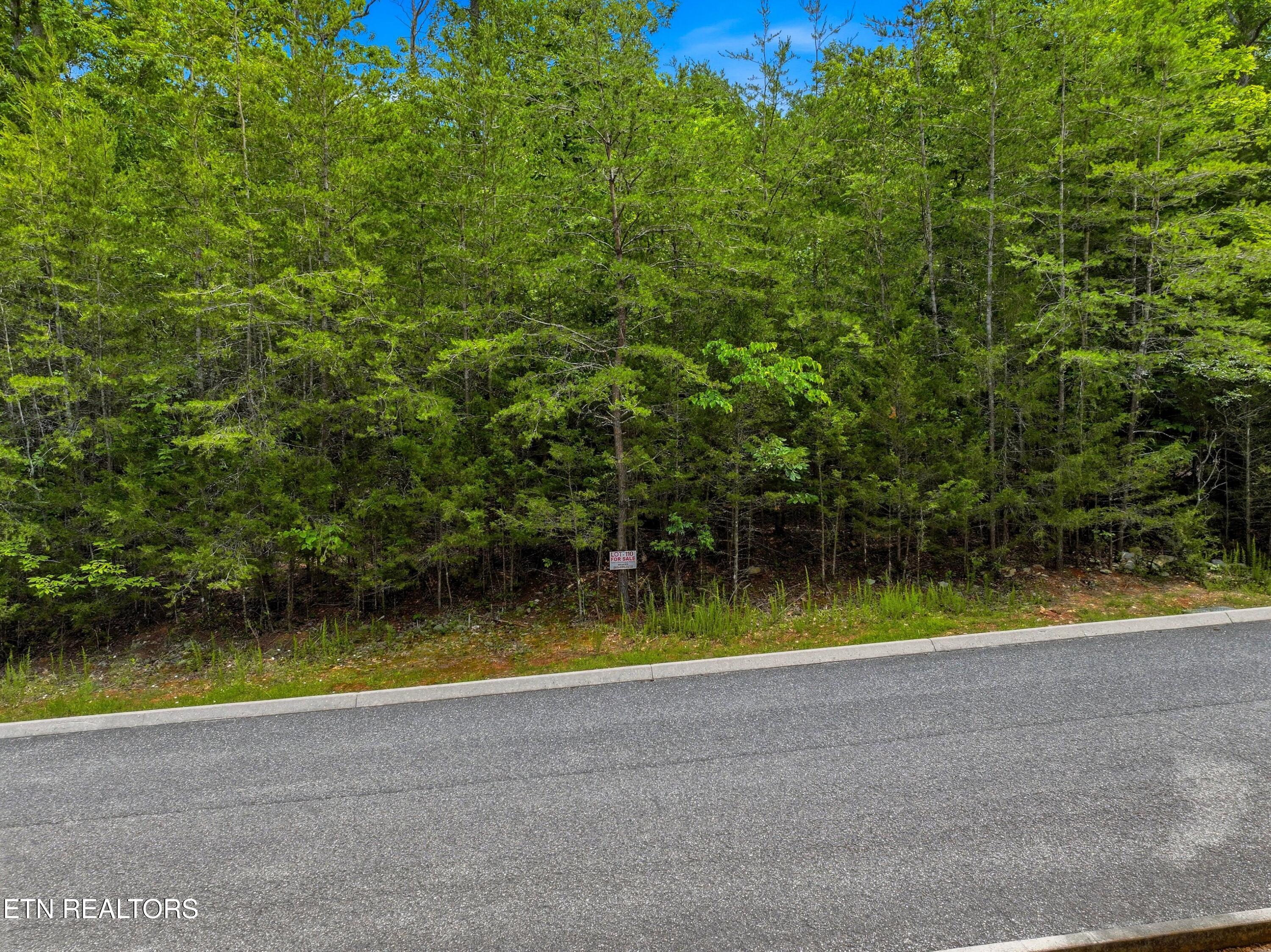 Lot 110 Eagles Ridge Tazewell, TN 37879 - Photo 3 of 17 003-EaglesRidge-Tazewell-TN-37879-SMALL