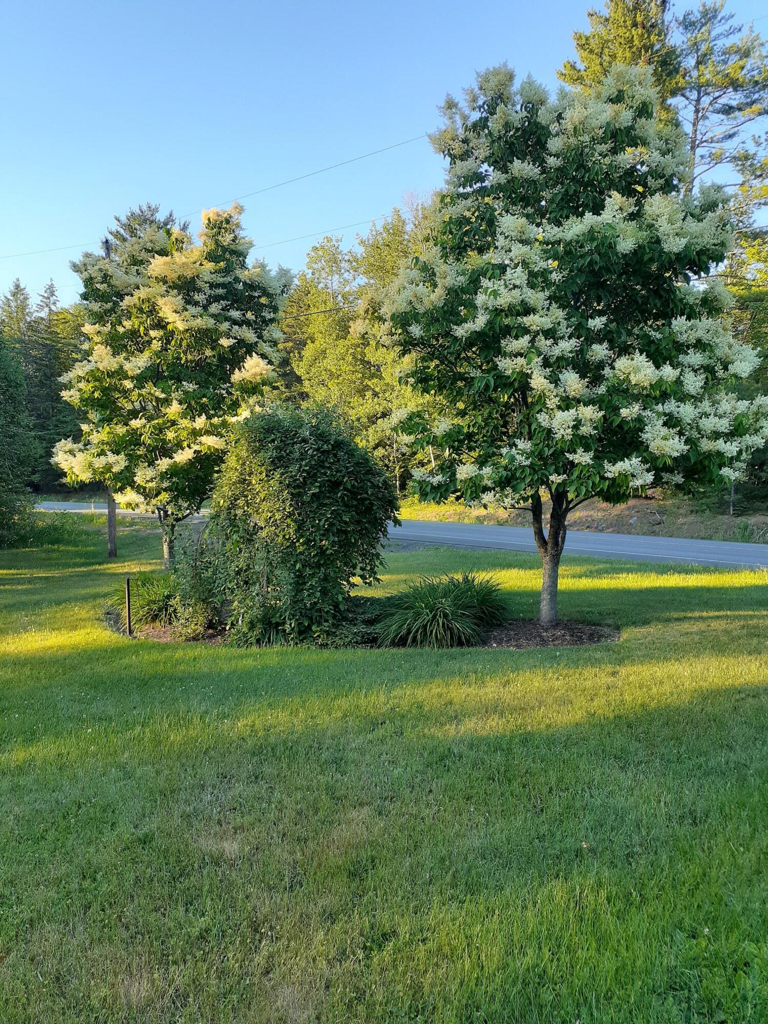 635 North Dexter Road Sangerville, ME 04479 - Photo 28 of 29 20210620_193212