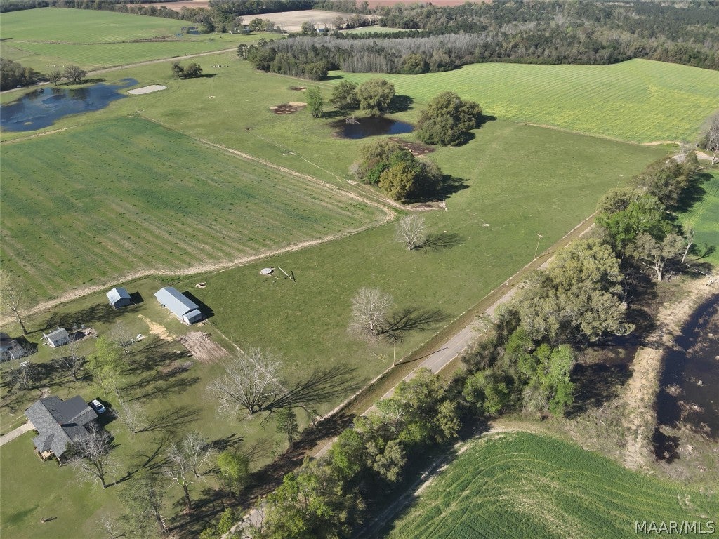 2.49-acres Ramer Loop Cottonwood, AL 36320 - Photo 6 of 8 Gallery Image 6