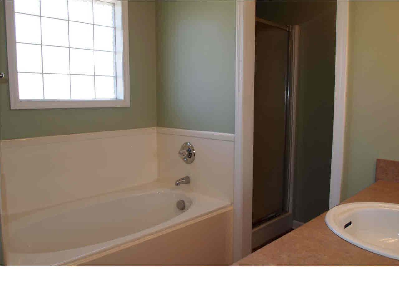 407 Timber Ridge Way Brandon, MS 39047 - Photo 17 of 31 Photo 20