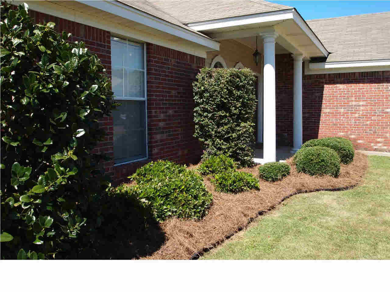 407 Timber Ridge Way Brandon, MS 39047 - Photo 3 of 31 Photo 3