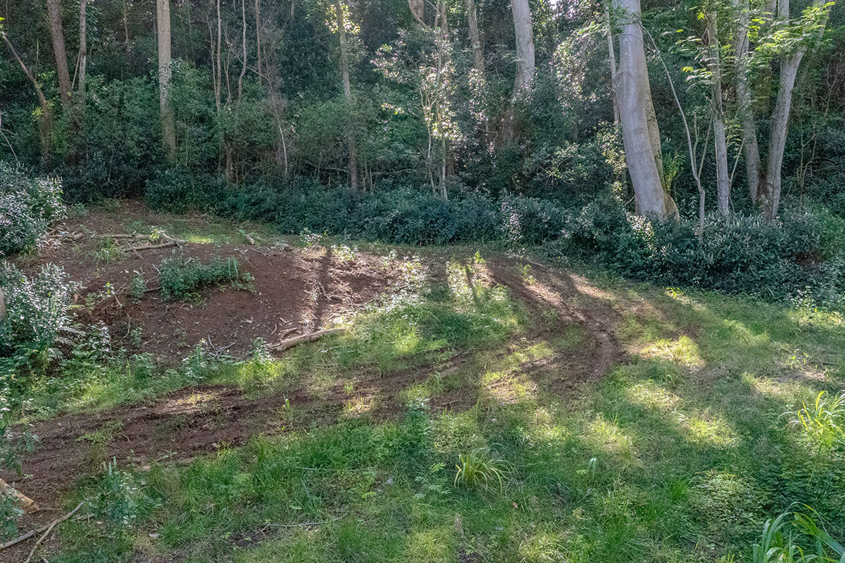 3310 Wawae Road Kalaheo, HI 96741 - Photo 15 of 30