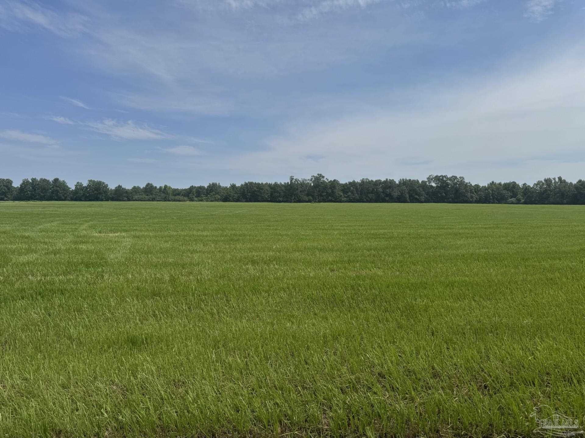 1 Huxford Road Atmore, AL 36502 - Photo 3 of 15 Gallery Image 3