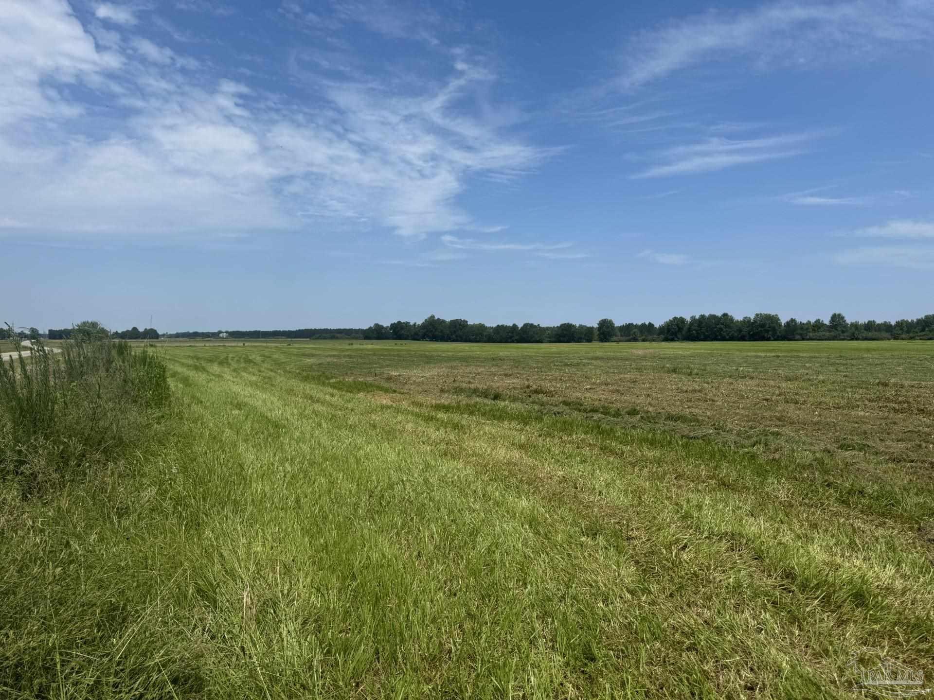 1 Huxford Road Atmore, AL 36502 - Photo 4 of 15 Gallery Image 4