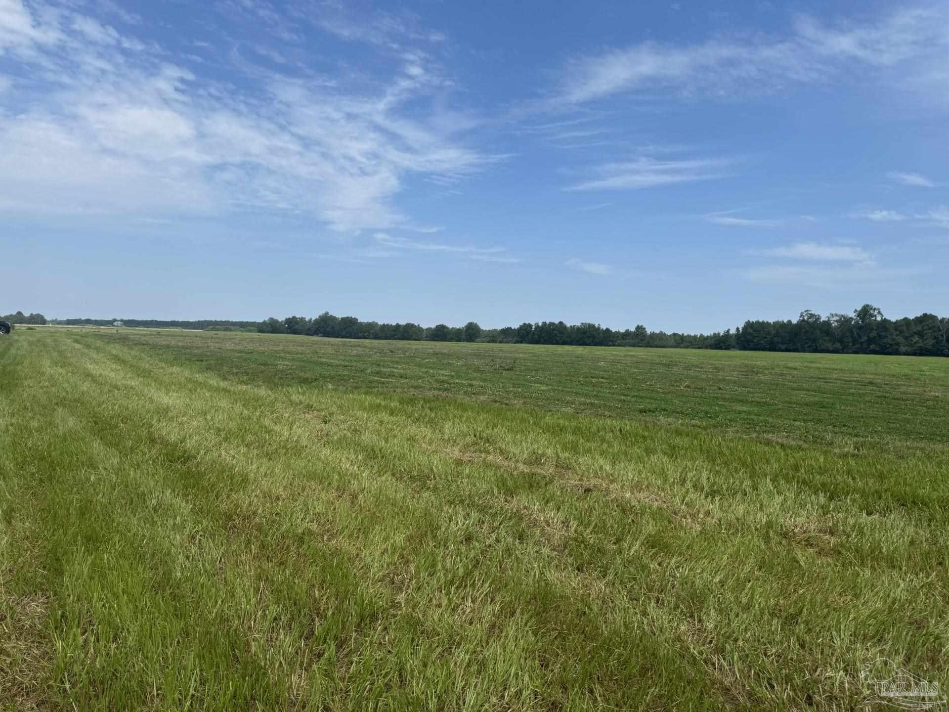 1 Huxford Road Atmore, AL 36502 - Photo 5 of 15 Gallery Image 5