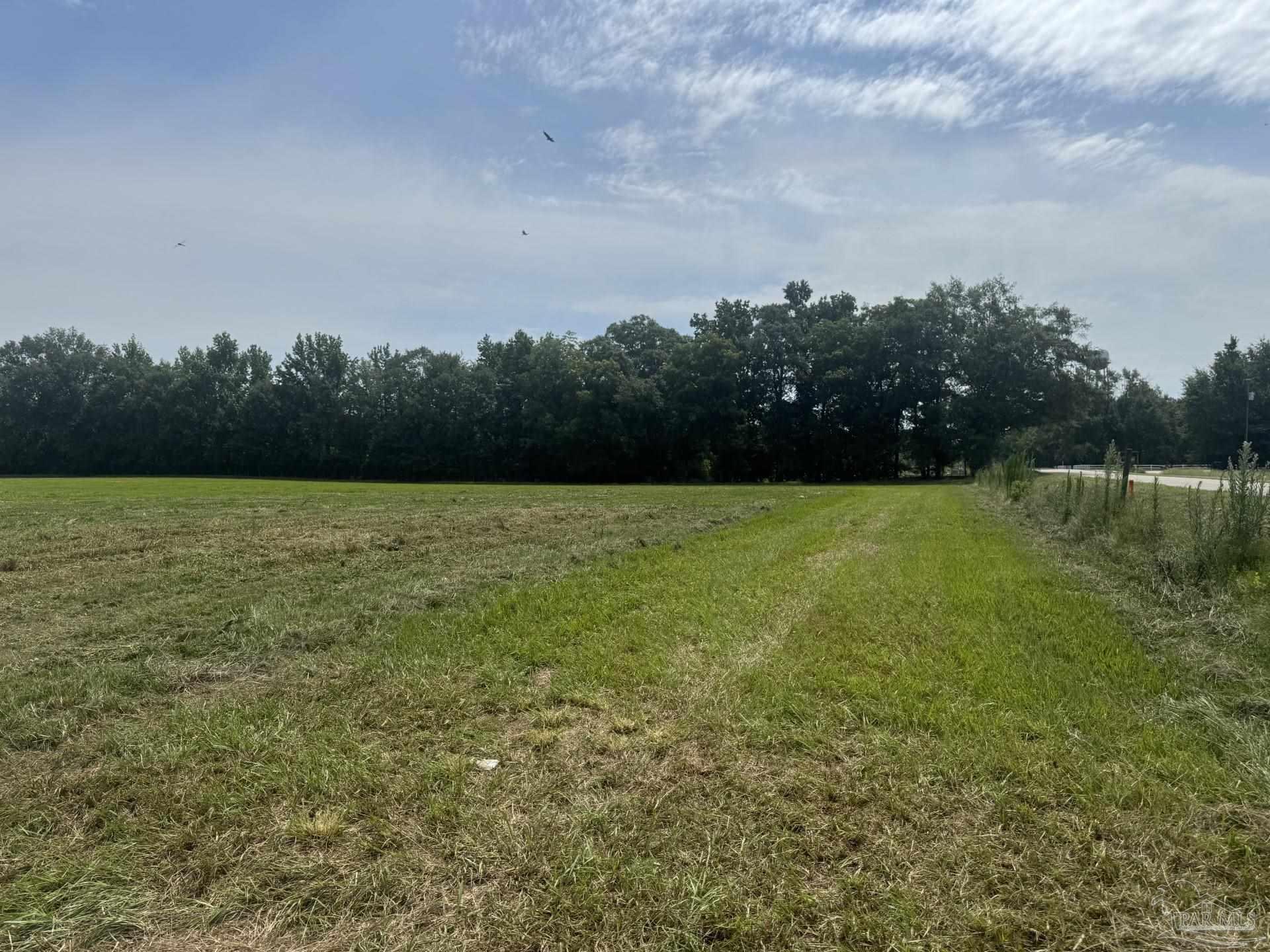 1 Huxford Road Atmore, AL 36502 - Photo 6 of 15 Gallery Image 6