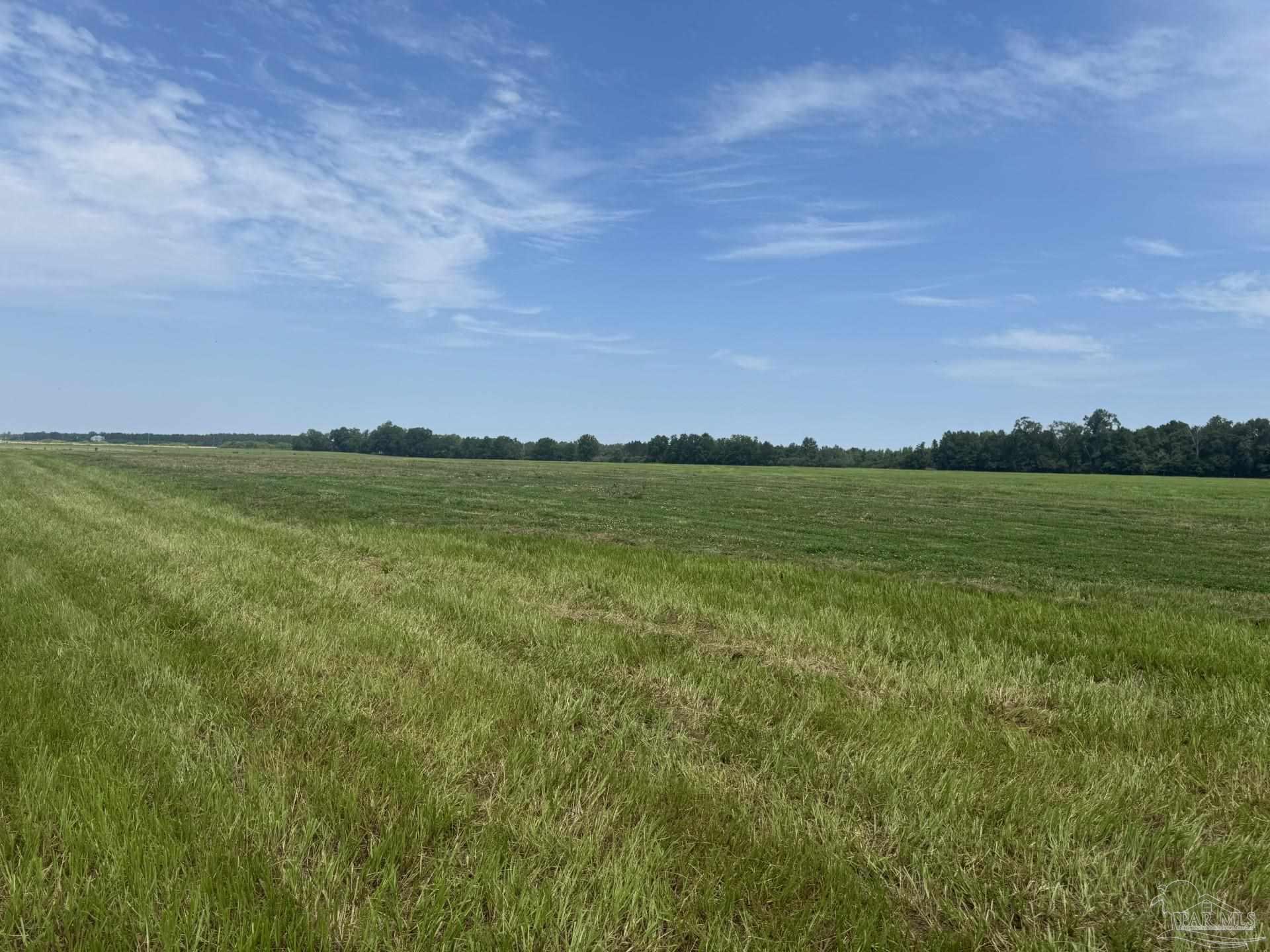 1 Huxford Road Atmore, AL 36502 - Photo 7 of 15 Gallery Image 7