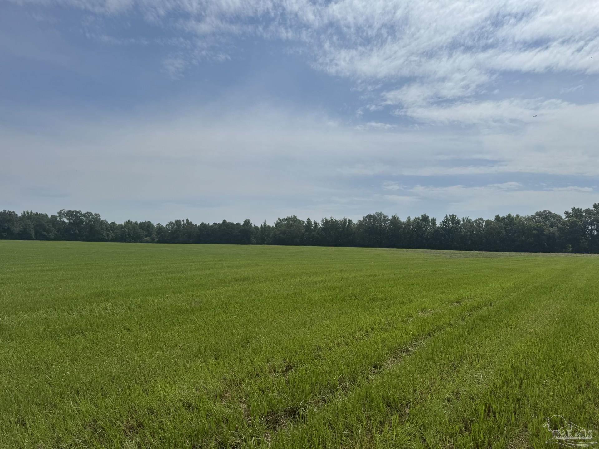 1 Huxford Road Atmore, AL 36502 - Photo 8 of 15 Gallery Image 8