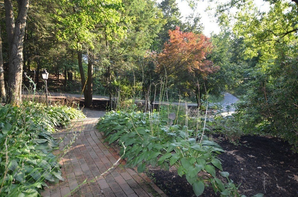 17 Oak Hill Road Harvard, MA 01451 - Photo 24 of 28 a backyard of a house with lots of green space
