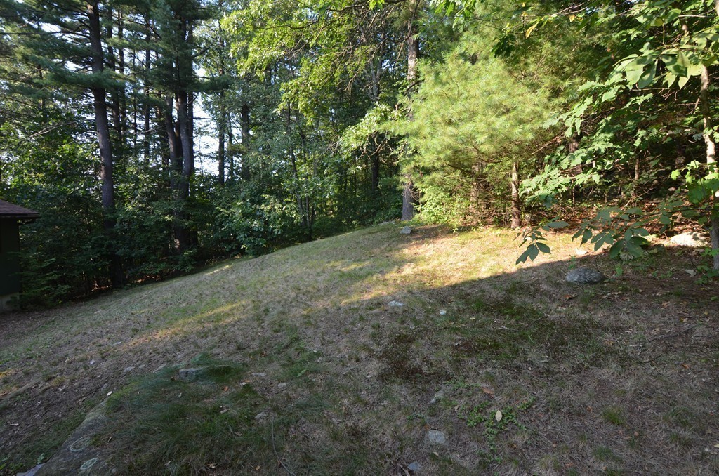 17 Oak Hill Road Harvard, MA 01451 - Photo 26 of 28 a view of a yard with plants and trees