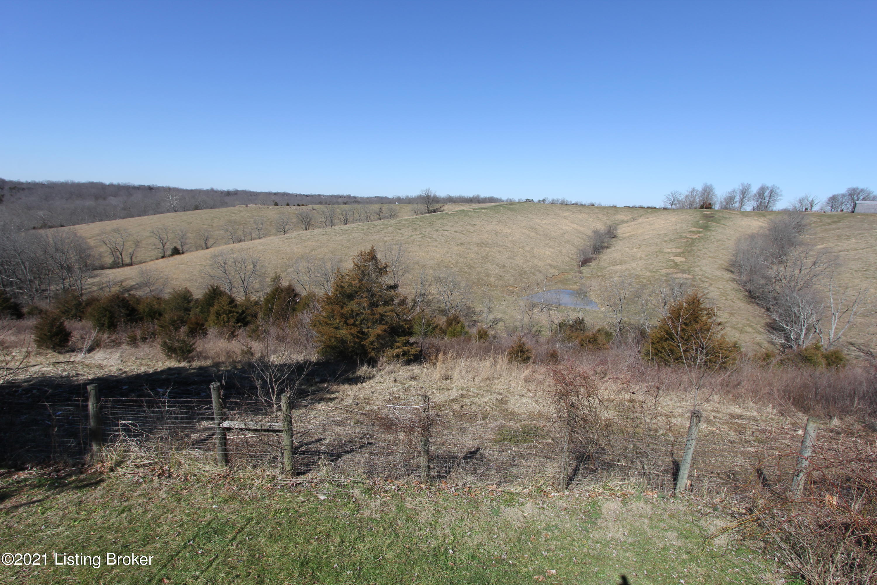 1040 Kays Road Lawrenceburg, KY 40342 - Photo 37 of 45 Back View (4)
