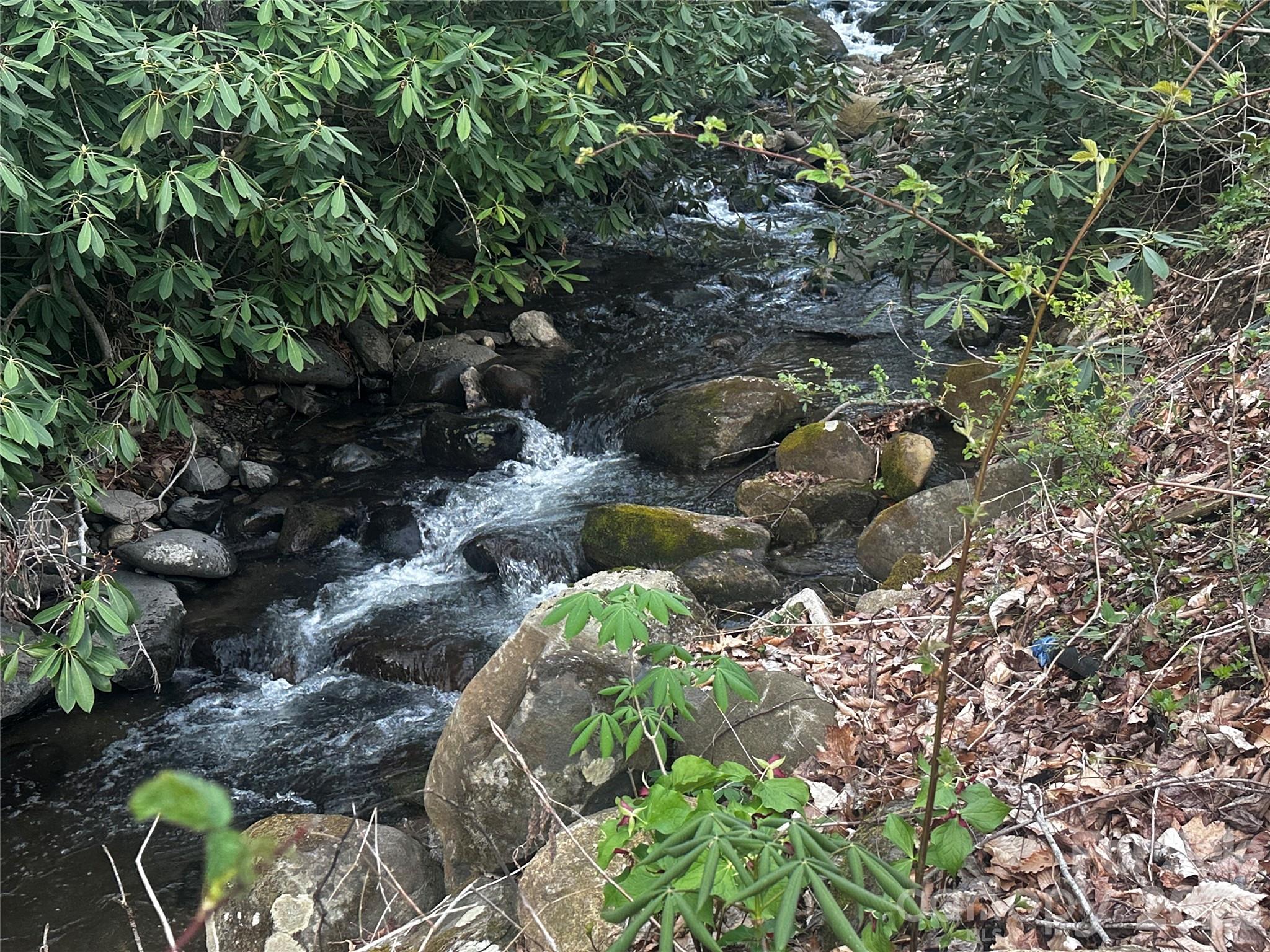 497 Odoms Chapel Road Bakersville, NC 28705 - Photo 2 of 9