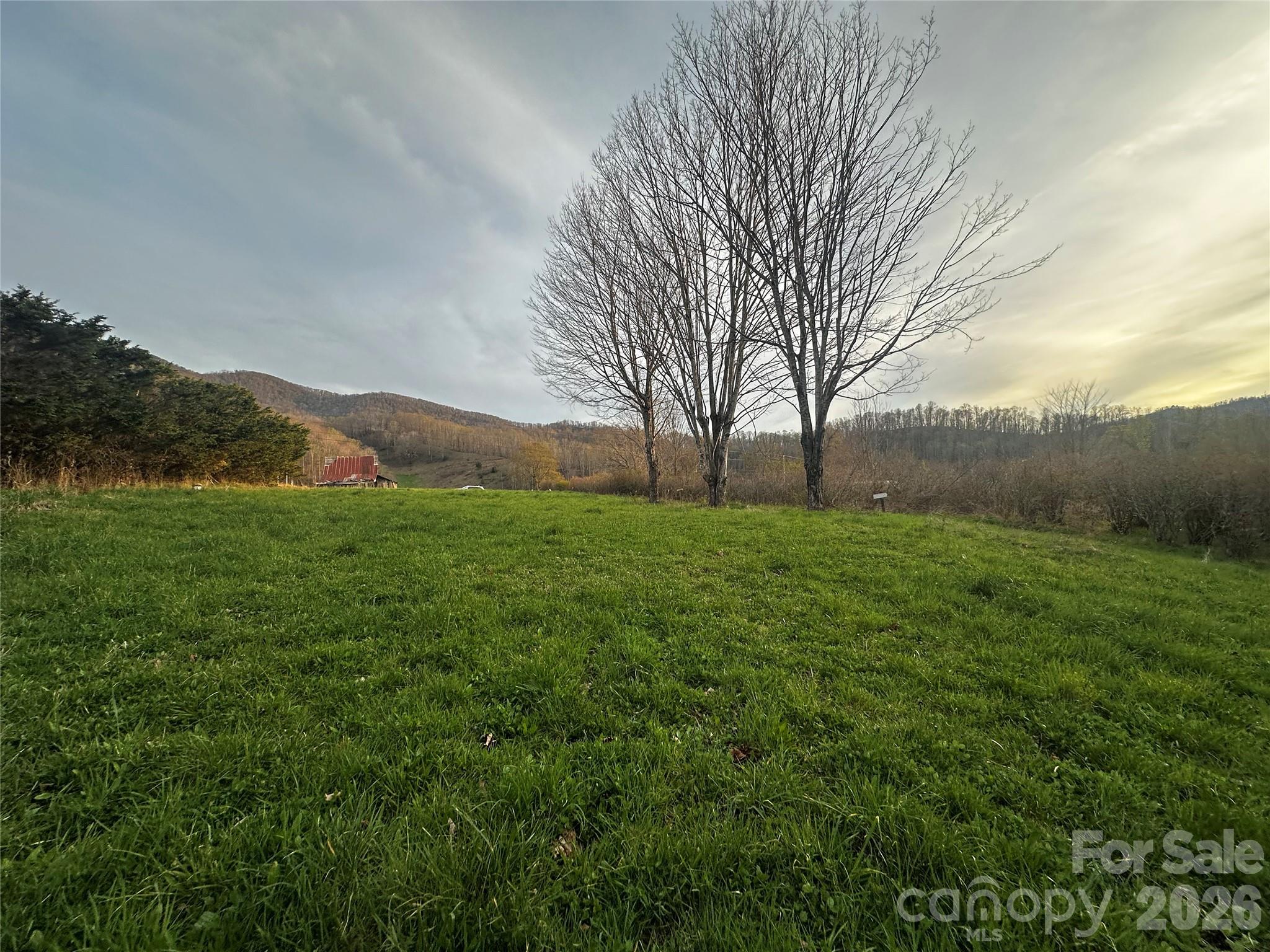 497 Odoms Chapel Road Bakersville, NC 28705 - Photo 3 of 9