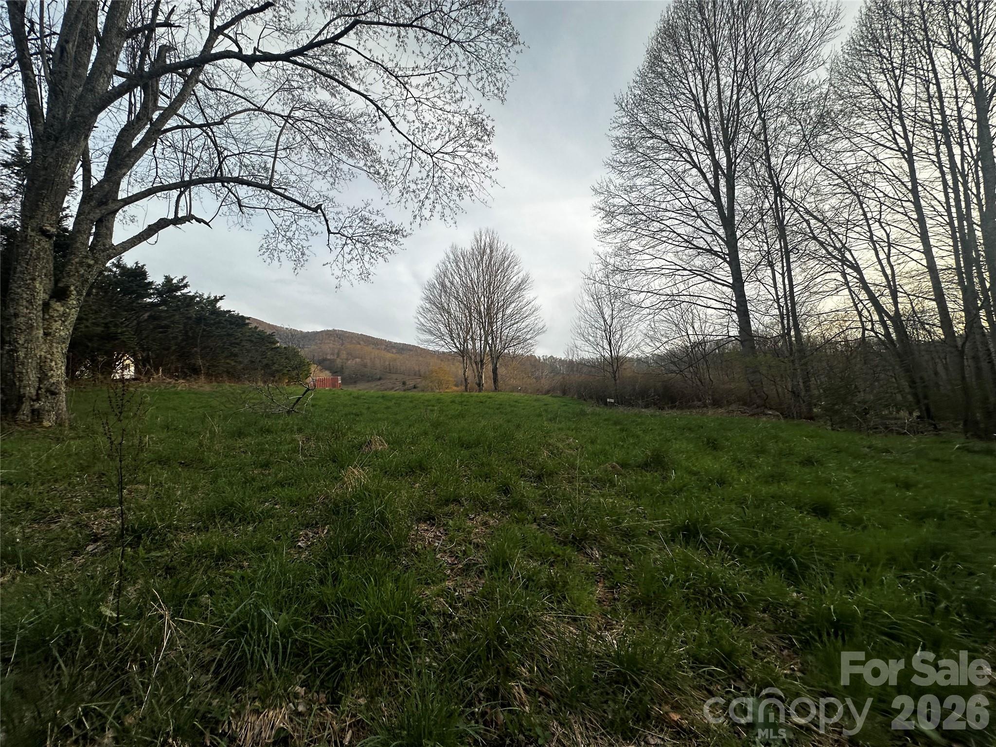 497 Odoms Chapel Road Bakersville, NC 28705 - Photo 4 of 9