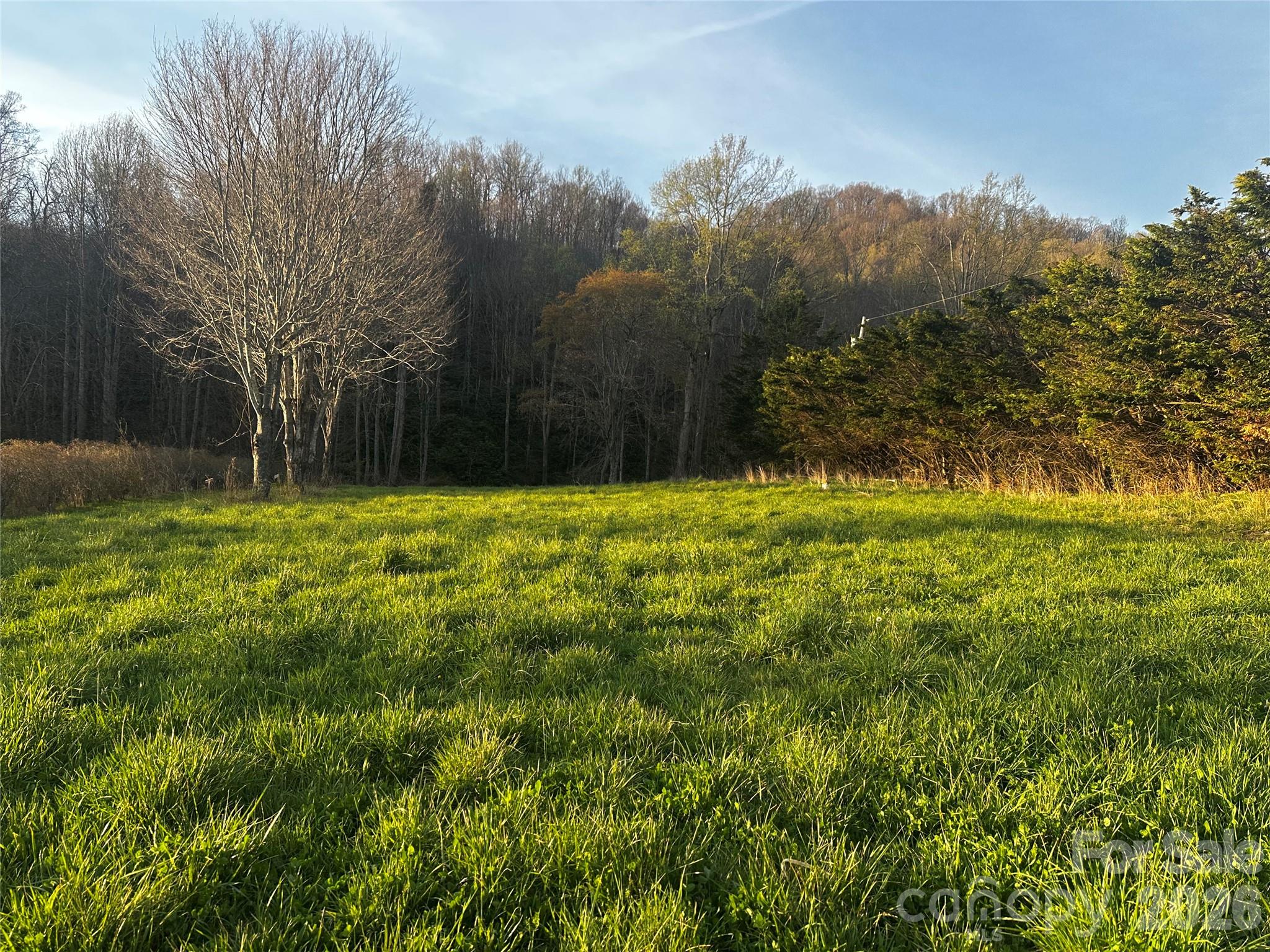 497 Odoms Chapel Road Bakersville, NC 28705 - Photo 5 of 9