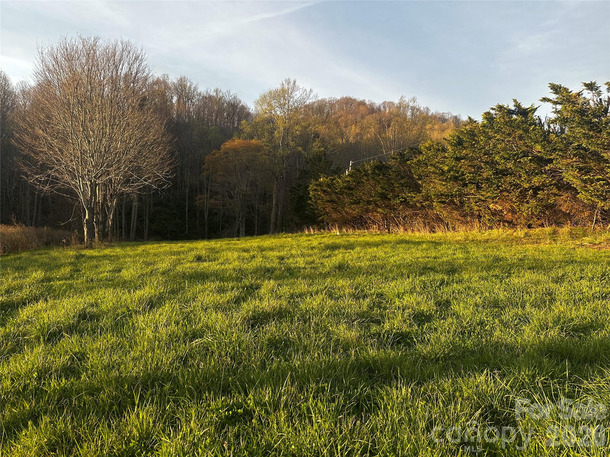 497 Odoms Chapel Road Bakersville, NC 28705 - Photo 6 of 9