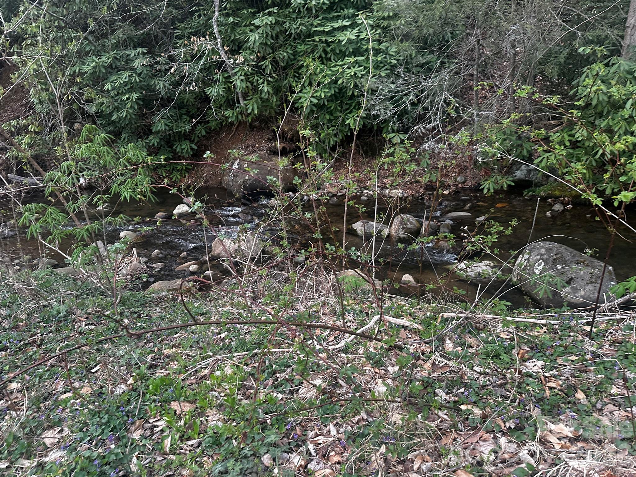 497 Odoms Chapel Road Bakersville, NC 28705 - Photo 7 of 9