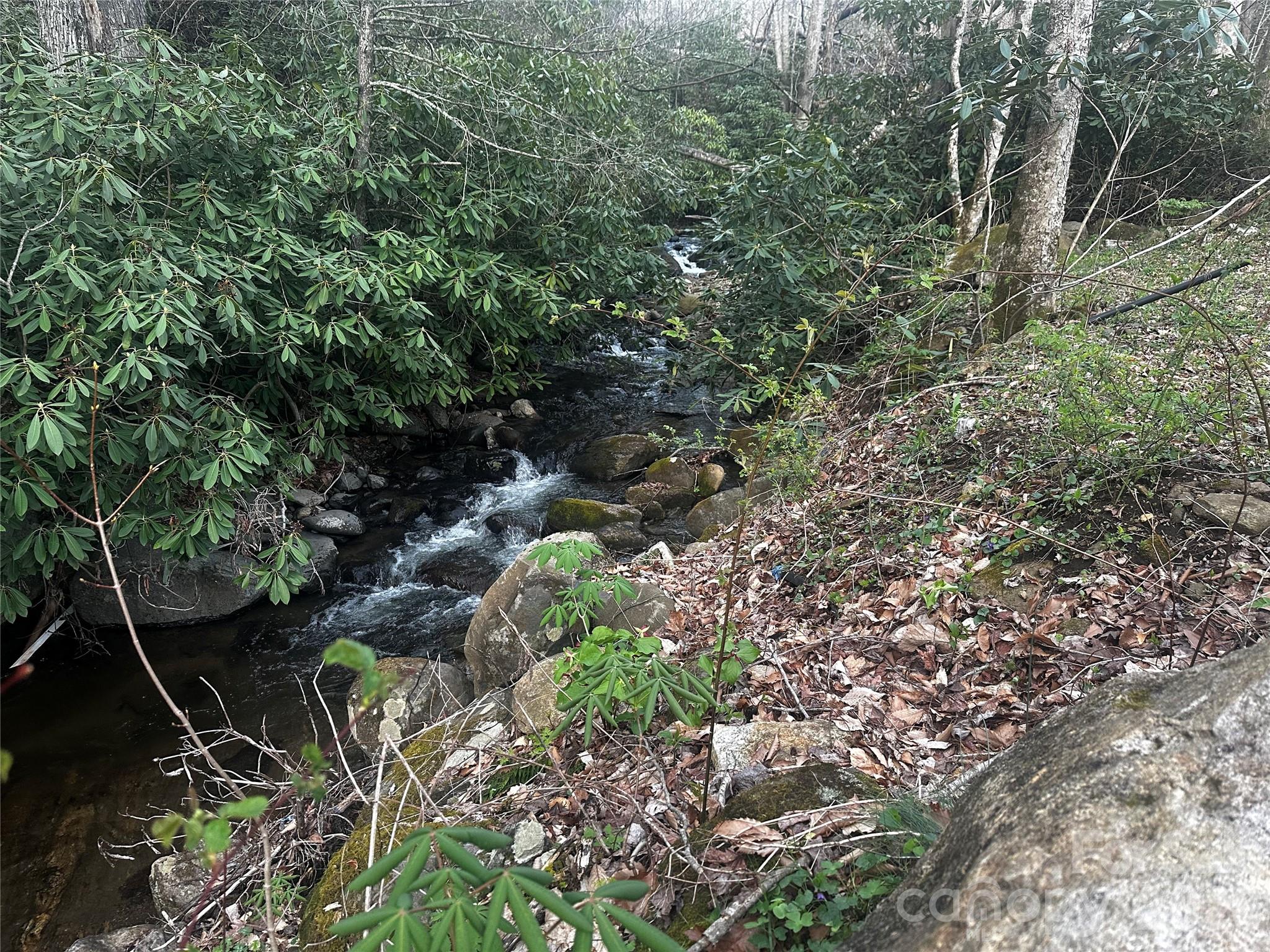 497 Odoms Chapel Road Bakersville, NC 28705 - Photo 8 of 9