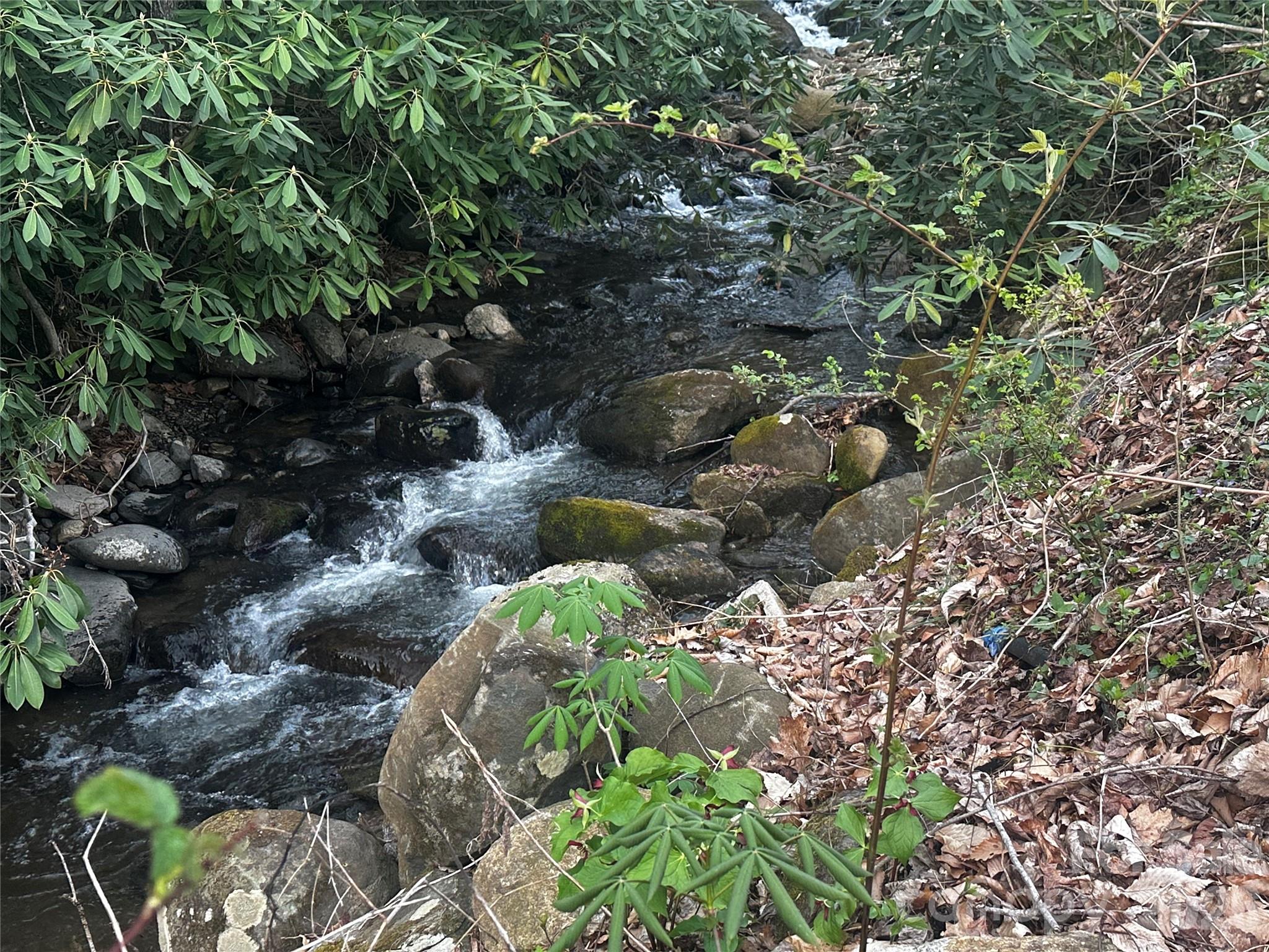 497 Odoms Chapel Road Bakersville, NC 28705 - Photo 9 of 9