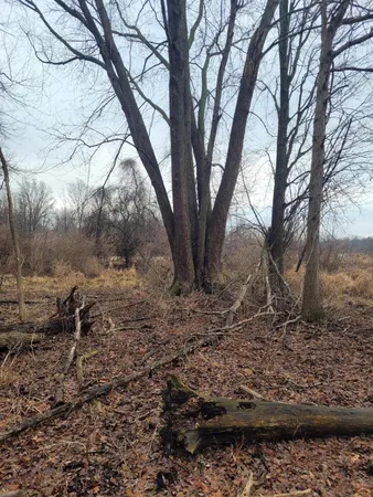 $599,000 | Coohon Road, Colon, MI 49040