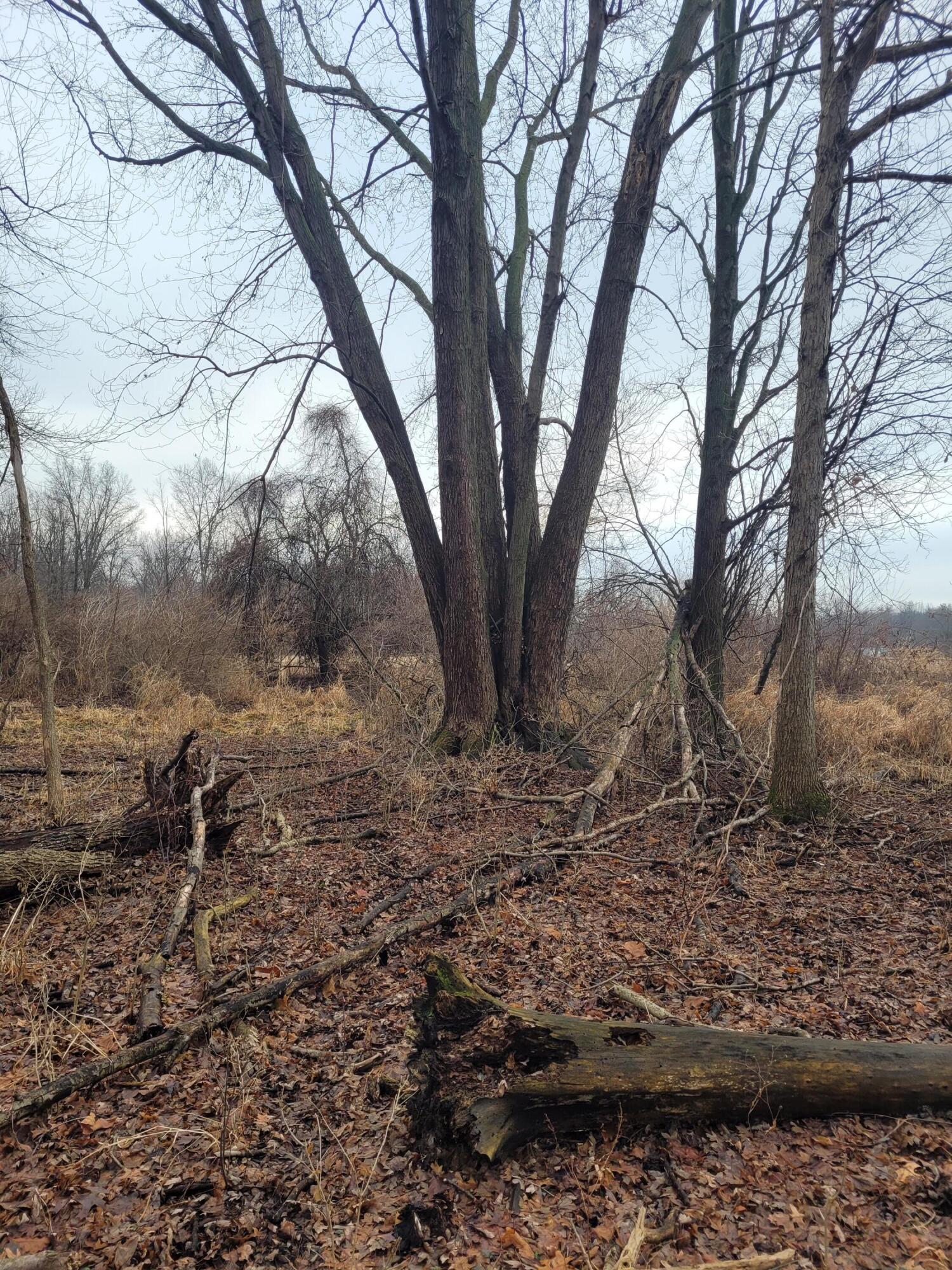 Coohon Road Colon, MI 49040 - Photo 12 of 26 20260107_152403