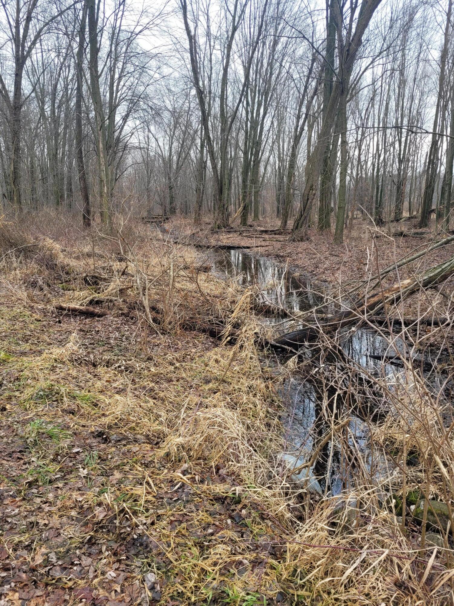 Coohon Road Colon, MI 49040 - Photo 13 of 26 20260107_152044