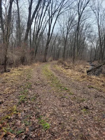 $599,000 | Coohon Road, Colon, MI 49040