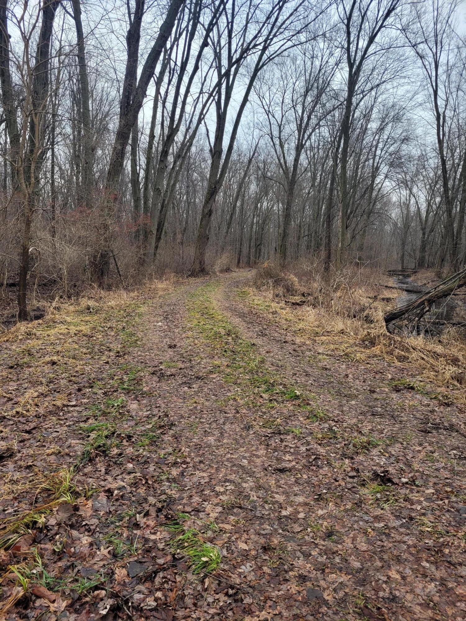 Coohon Road Colon, MI 49040 - Photo 14 of 26 20260107_152025