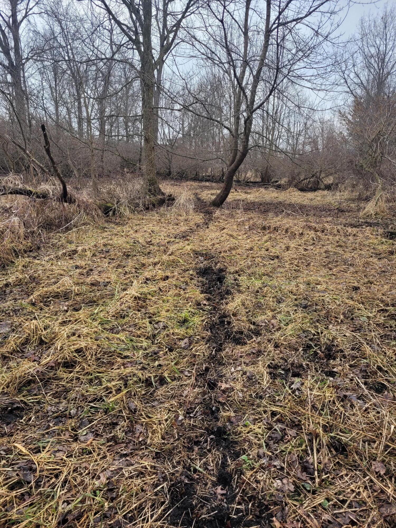 Coohon Road Colon, MI 49040 - Photo 15 of 26 20260107_151608